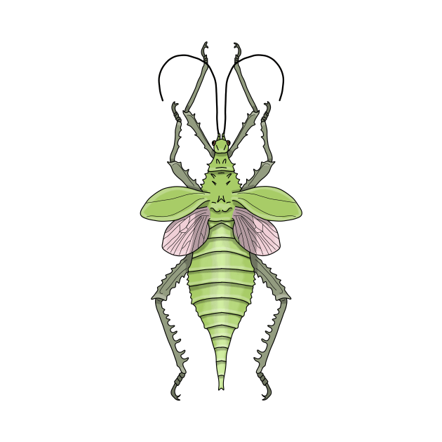 Female pink green stick insect (heteropteryx dilatata) by Artbychb