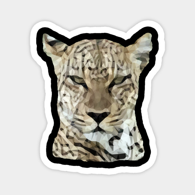 Leopard Polygon Kenya Africa Leopard Polygon A Big Cat In