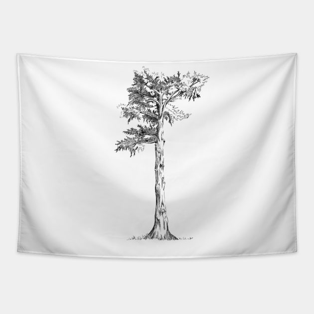 Sentinel Tree Alamo Sq Park San Francisco Tapestry by tsd-fashion