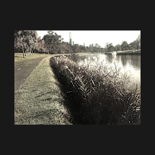 Melbourne from the Yarra T-Shirt