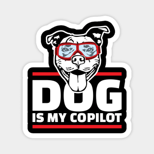 dog is my copilot Magnet