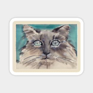 Longhair gray kitty with blue eyes Magnet