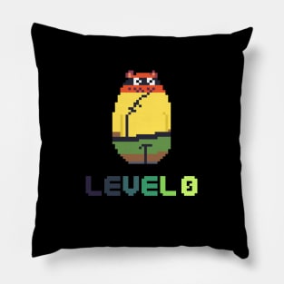 LEVEL 0 Pillow