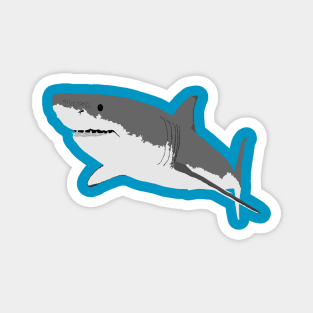 Great White Shark Magnet