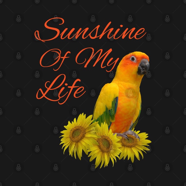 Sun Conure Parrot Sunshine Sunflower by Einstein Parrot