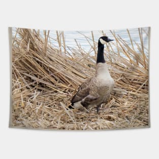 Canada Goose No.4 Tapestry