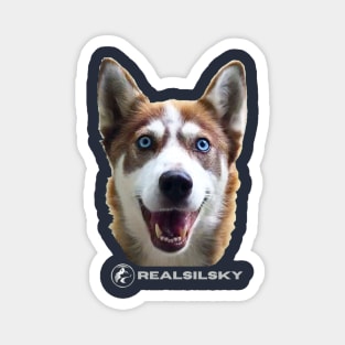 Red Husky - realSILSKY IG designs Magnet