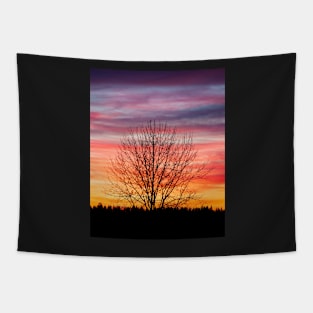 Tree silhouette and beautiful vibrant sunset clouds Tapestry