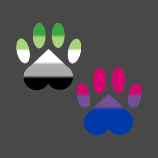 Aro Bi Pride Paws T-Shirt