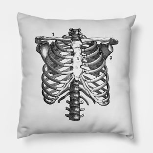 Shoulder and Rib Cage Diagram - Vintage Anatomy Pillow