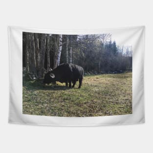 Scottish Highland Cattle Bull 2371 Tapestry