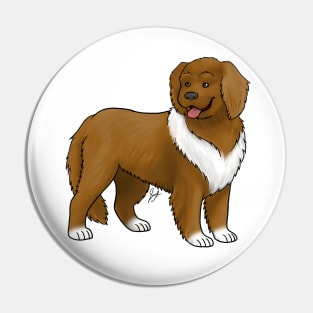 Dog - Landseer Dog - Brown and White Pin