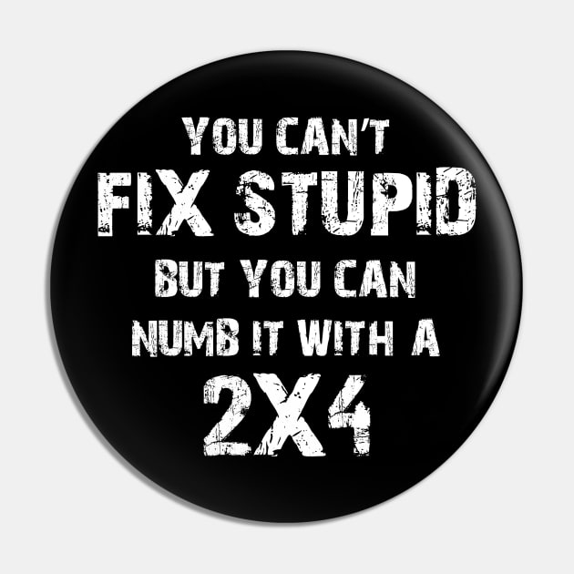 You Can't Fix Stupid But You Can Numb It With A 2X4 Pin by Ray E Scruggs