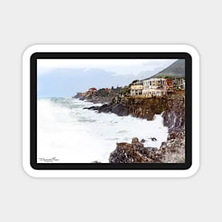 Nervi Magnet