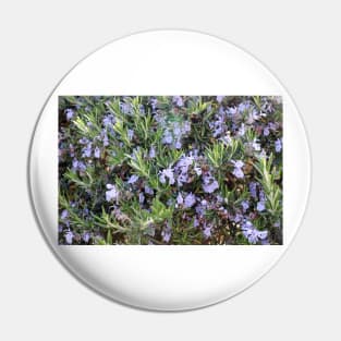 Rosemary Pin