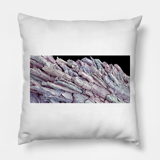 Kidney stone, SEM (C022/7467) Pillow by SciencePhoto