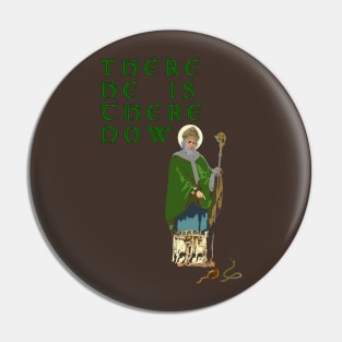 St patrick Pin