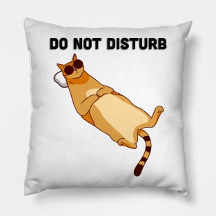 Do not disturb Pillow