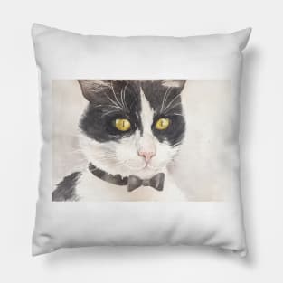 Tuxedo cat Pillow