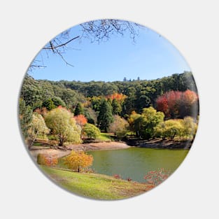 Autumn by the lake Pin