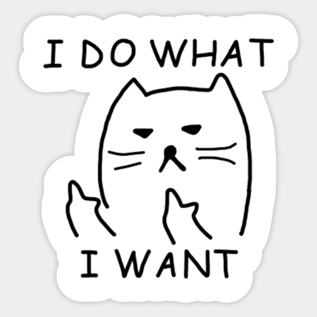 I Do What I Want With My Cat Shirt T Shirt I Do What I Want With