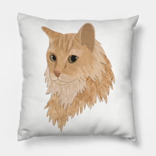 Fritz the orange cat Pillow