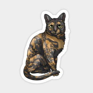 Cute Tortoiseshell Cat Magnet