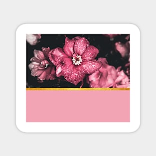 Pink flowers 2 Magnet