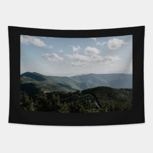 Blue Ridge Parkway Tapestry