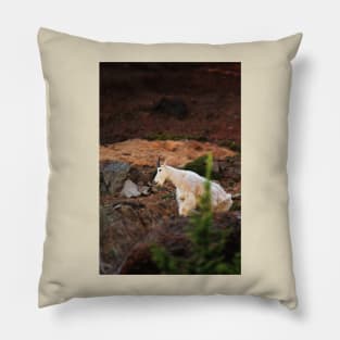 Majestic Mountain Goat Pillow