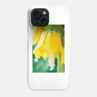 Fritillaria imperialis  &#39;Maxima Lutea&#39;  AGM  Crown imperia Phone Case