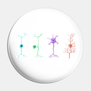 The neurons Pin