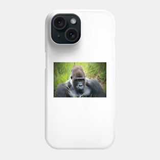 Look Into My Eyes Phone Case