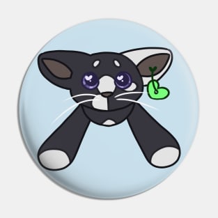 ty beanie ravenpaw Pin