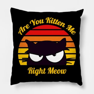 Are You Kitten Me Right Meow Pillow