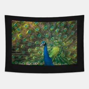 Peafowl Tapestry