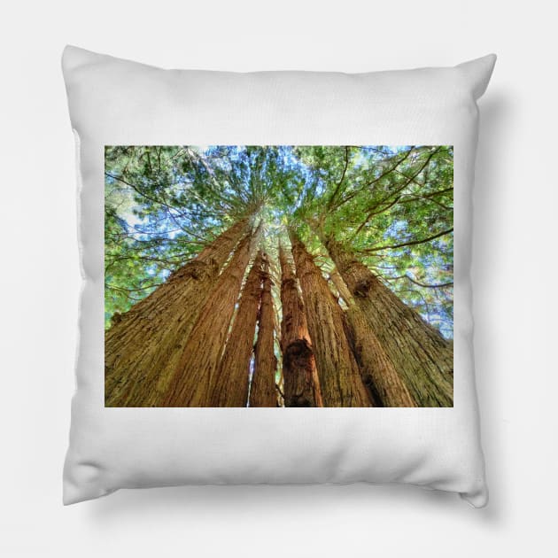 Redwood Grove Pillow by Johnmichaelartist