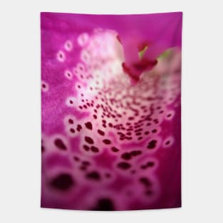 Foxglove Tapestry