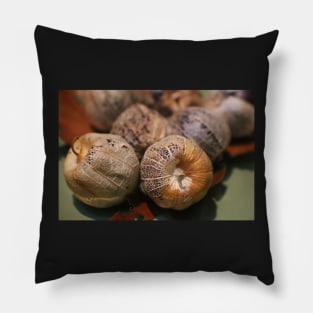 Tomatillos Pillow