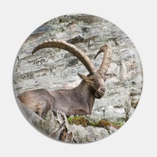 Large Male Ibex Pin