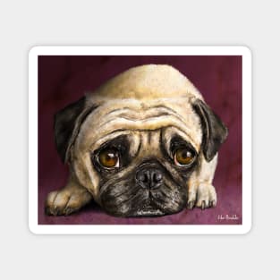 Digitally Painted Pug Portrait on a Purple Background Magnet