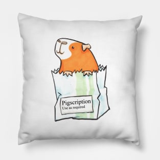 Pigscription Pillow