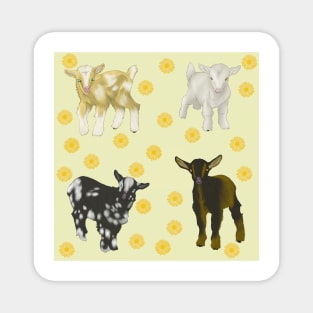 Baby Goats Sunflowers Pattern Magnet