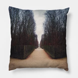 maze walkway Pillow