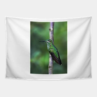 Green-Crowned Brilliant Hummingbird - Costa Rica Tapestry