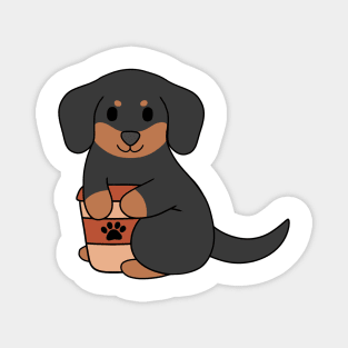 Black Dachshund Coffee Magnet