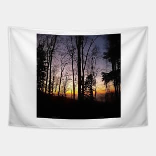 Trees Silhouette Colorful Sunset in Zagreb, Croatia Tapestry