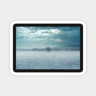 Tree in a foggy winter landscape - Photograph Print Magnet