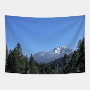 mount shasta Tapestry