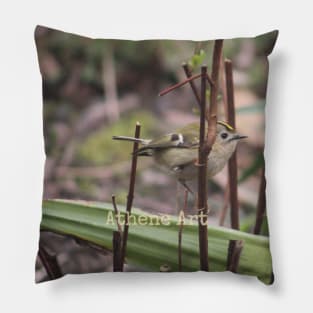 Goldcrest Bird perched on a twig Photograph Pillow